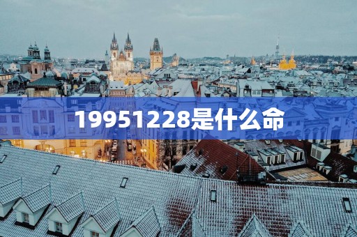 19951228是什么命