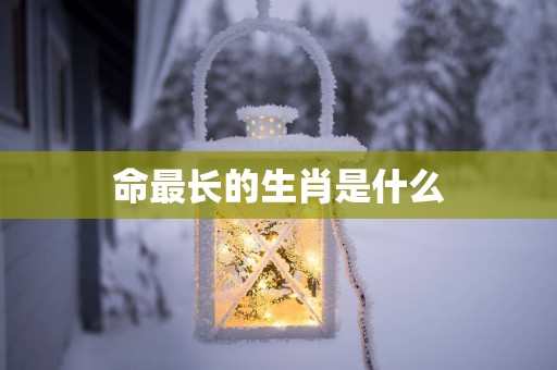 命最长的生肖是什么