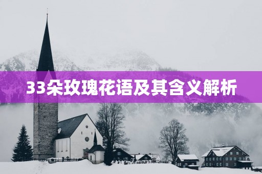 33朵玫瑰花语及其含义解析