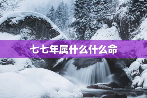 七七年属什么什么命
