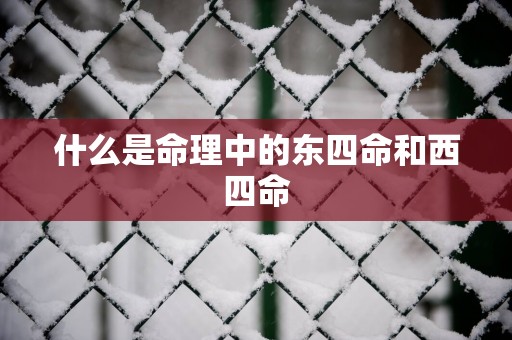 什么是命理中的东四命和西四命