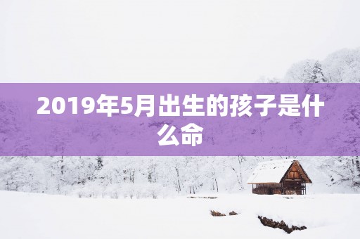 2019年5月出生的孩子是什么命