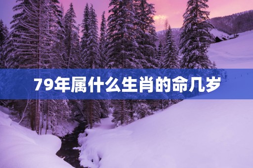 79年属什么生肖的命几岁