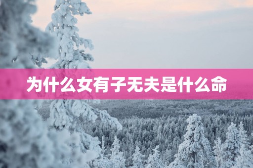 为什么女有子无夫是什么命
