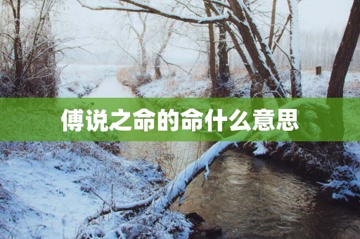 傅说之命的命什么意思