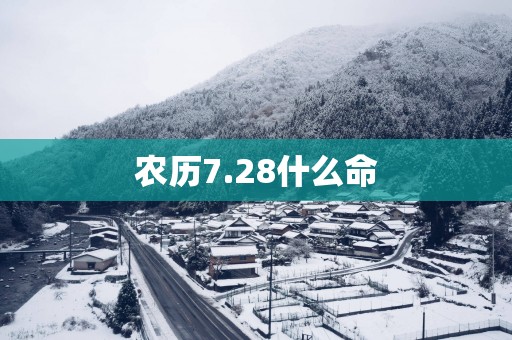 农历7.28什么命