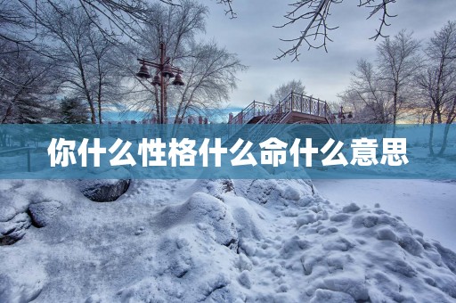 你什么性格什么命什么意思