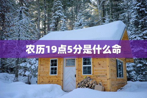 农历19点5分是什么命
