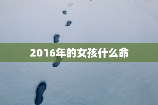 2016年的女孩什么命