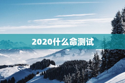 2025什么命测试