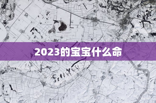 2025的宝宝什么命