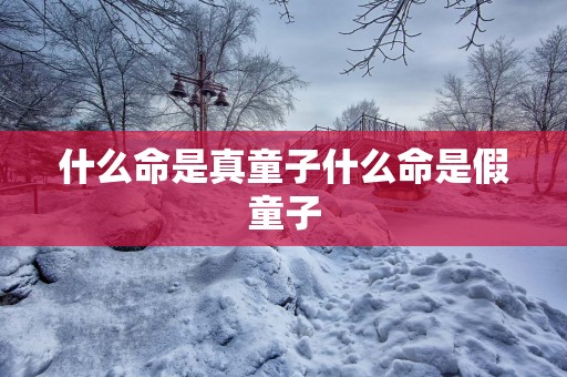 什么命是真童子什么命是假童子