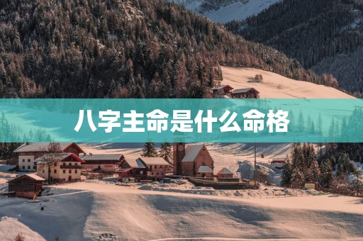 八字主命是什么命格