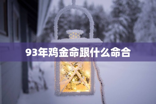 93年鸡金命跟什么命合