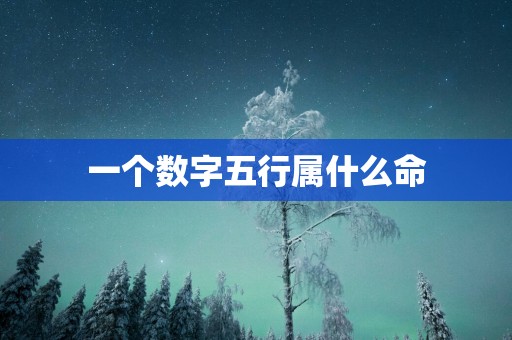 一个数字五行属什么命