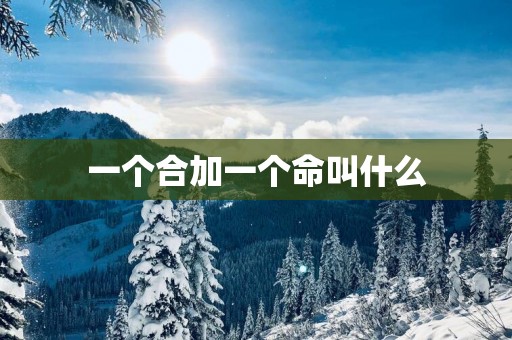 一个合加一个命叫什么