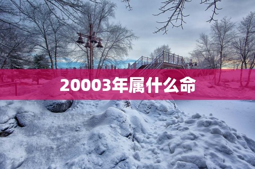 20003年属什么命