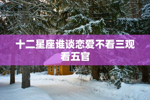 十二星座谁谈恋爱不看三观看五官