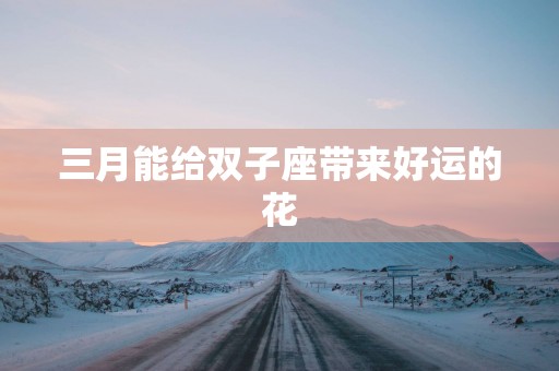三月能给双子座带来好运的花