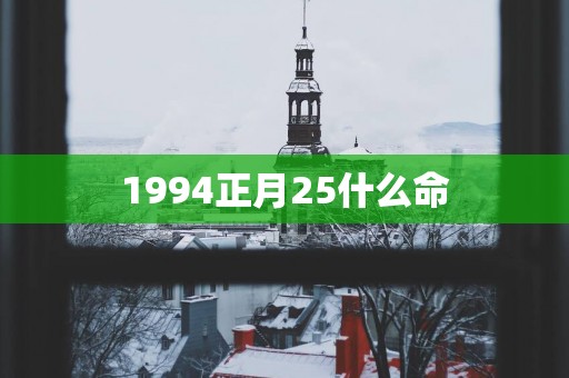 1994正月25什么命