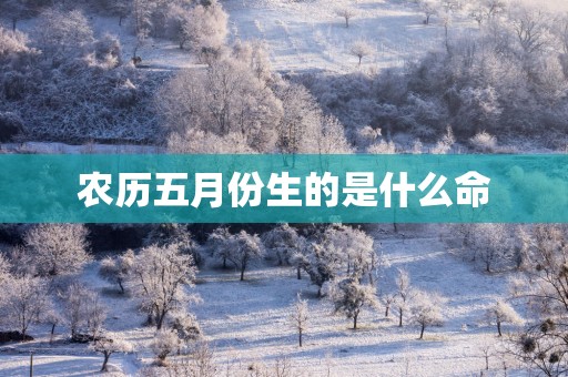 农历五月份生的是什么命