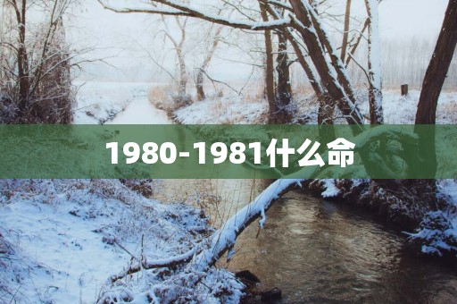 1980-1981什么命