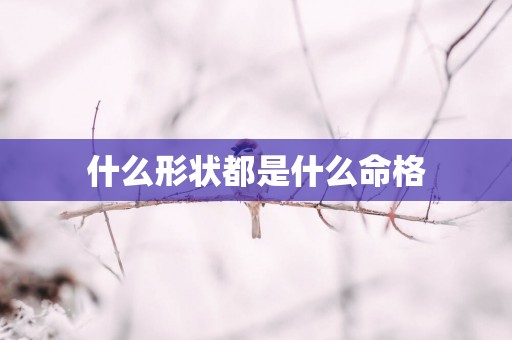 什么形状都是什么命格
