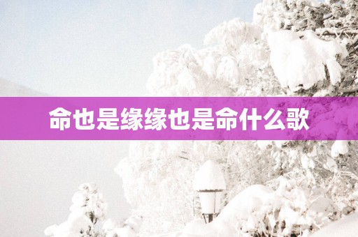 命也是缘缘也是命什么歌