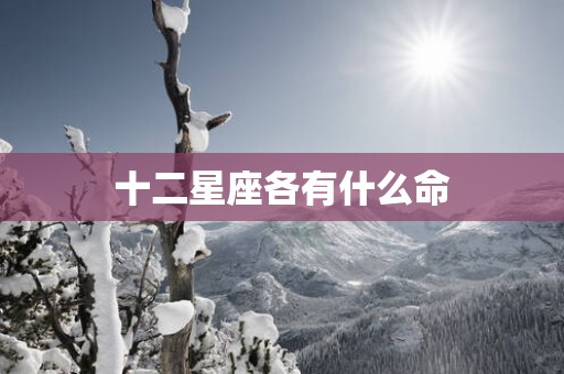 十二星座各有什么命