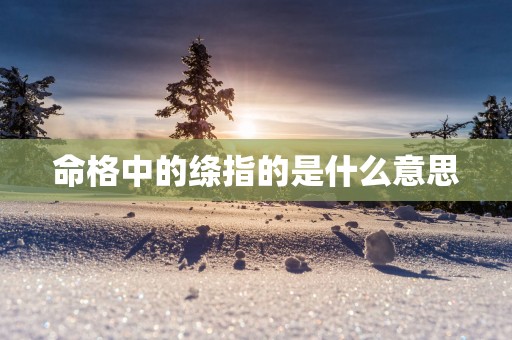 命格中的绦指的是什么意思
