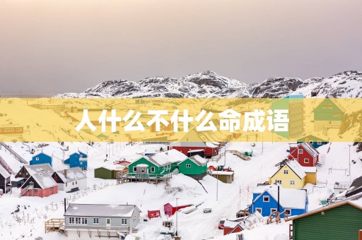 人什么不什么命成语
