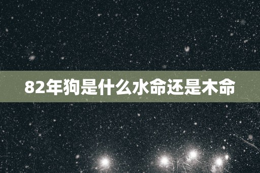 82年狗是什么水命还是木命