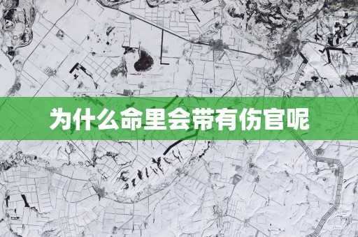 为什么命里会带有伤官呢