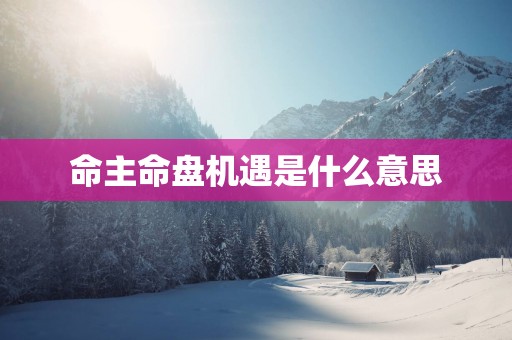 命主命盘机遇是什么意思