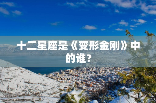 十二星座是《变形金刚》中的谁？