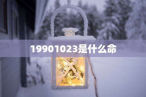 19901023是什么命