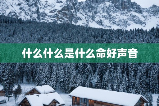 什么什么是什么命好声音