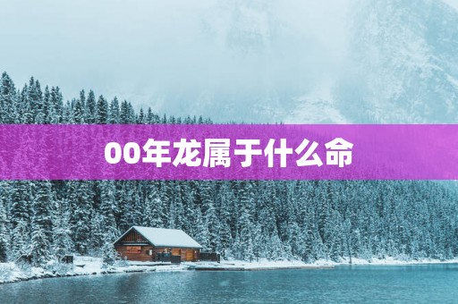 00年龙属于什么命