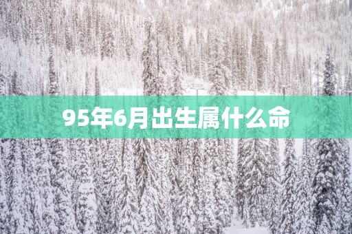 95年6月出生属什么命