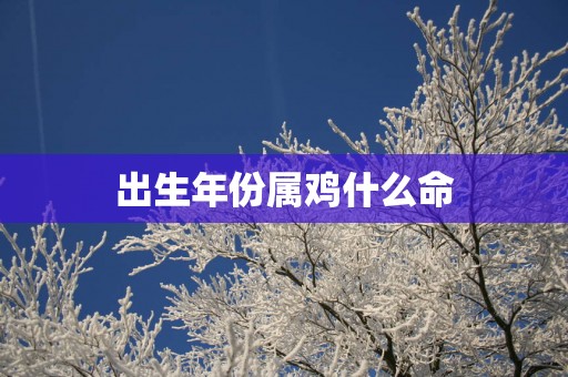出生年份属鸡什么命