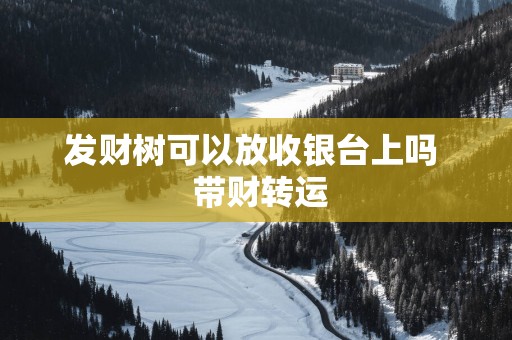发财树可以放收银台上吗  带财转运