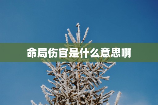命局伤官是什么意思啊