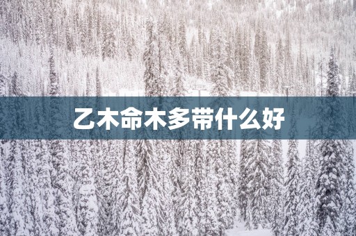 乙木命木多带什么好