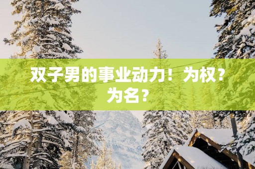 双子男的事业动力！为权？为名？