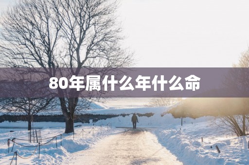 80年属什么年什么命