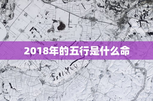 2018年的五行是什么命