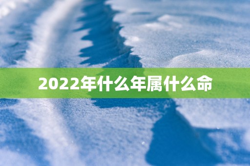 2025年什么年属什么命