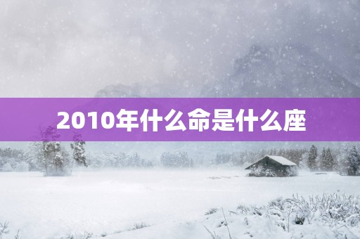 2010年什么命是什么座