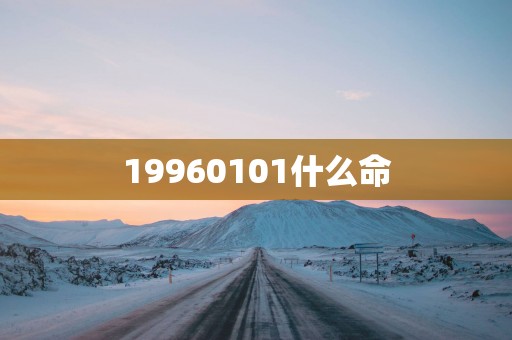 19960101什么命