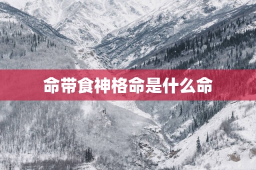 命带食神格命是什么命